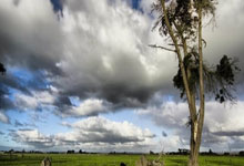 开云平台-欧洲网球队鏖战意大利网球队，阿尔卡拉斯送出助攻