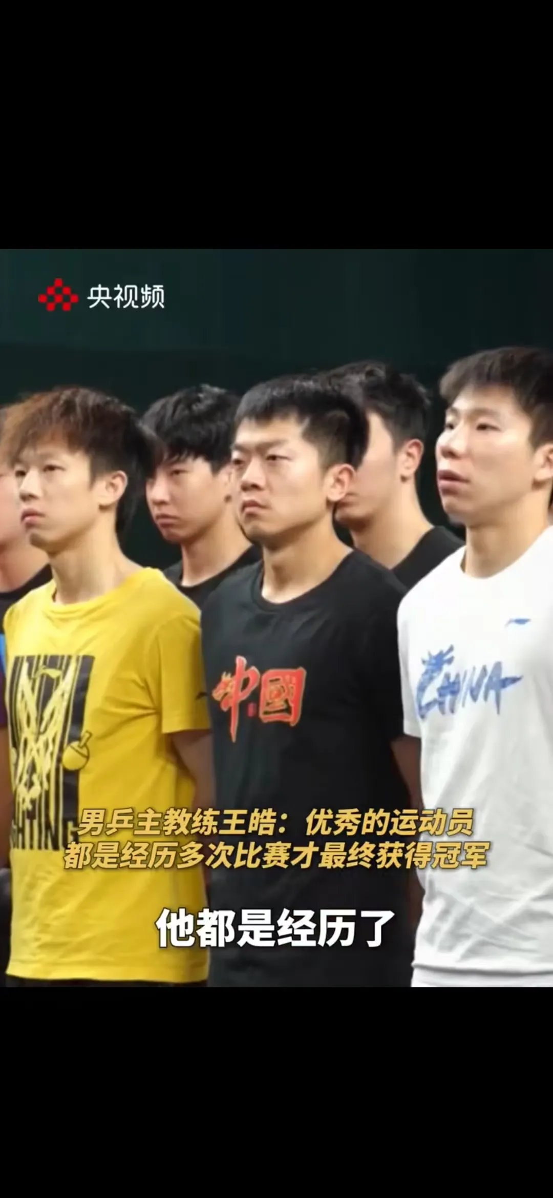 开云下载-德国乒乓球队轻取中国乒乓球队，王皓制霸全场的简单介绍