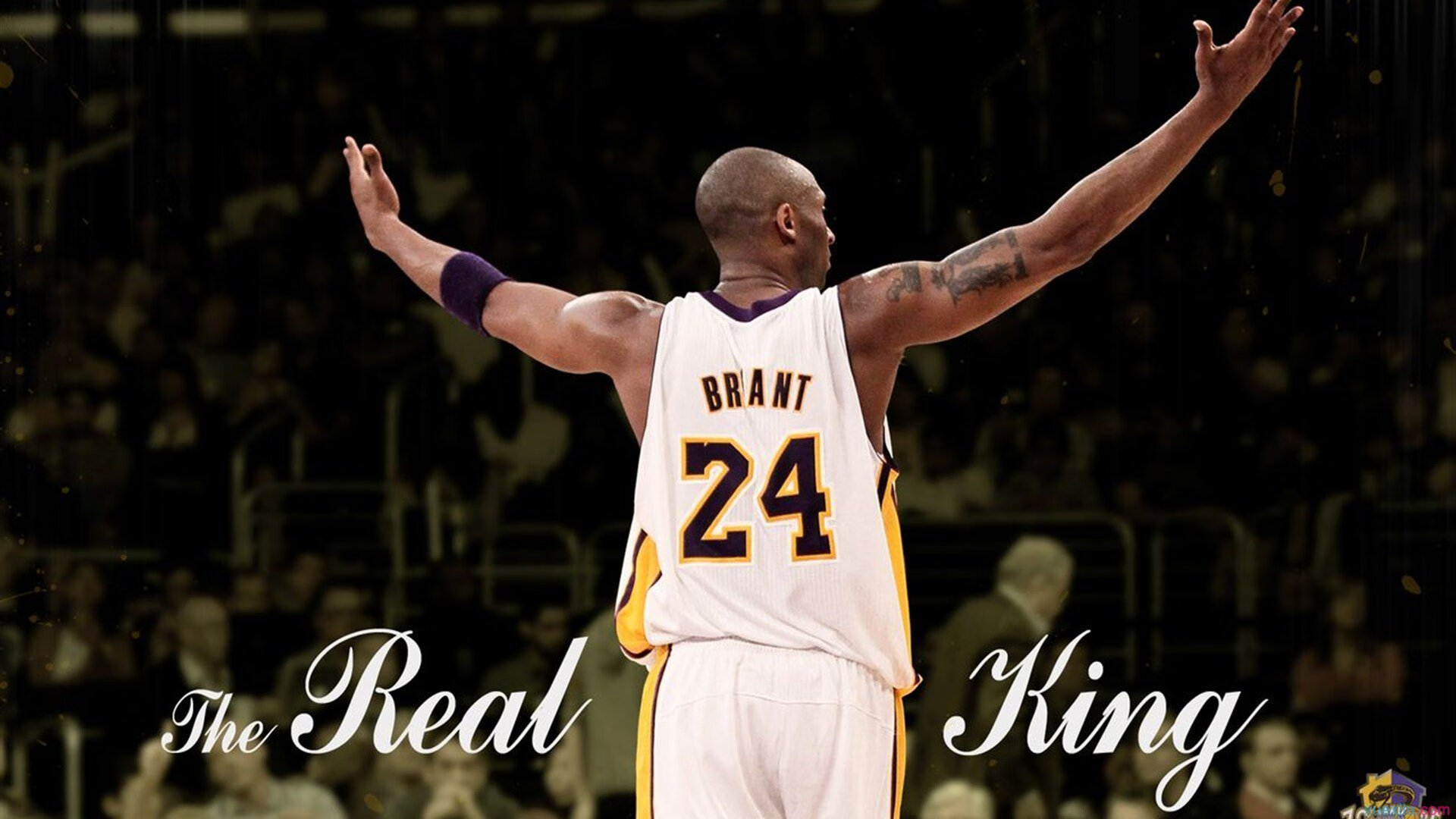 布伦森年度焦点战接管比赛,深圳队关键战突围公牛创历史